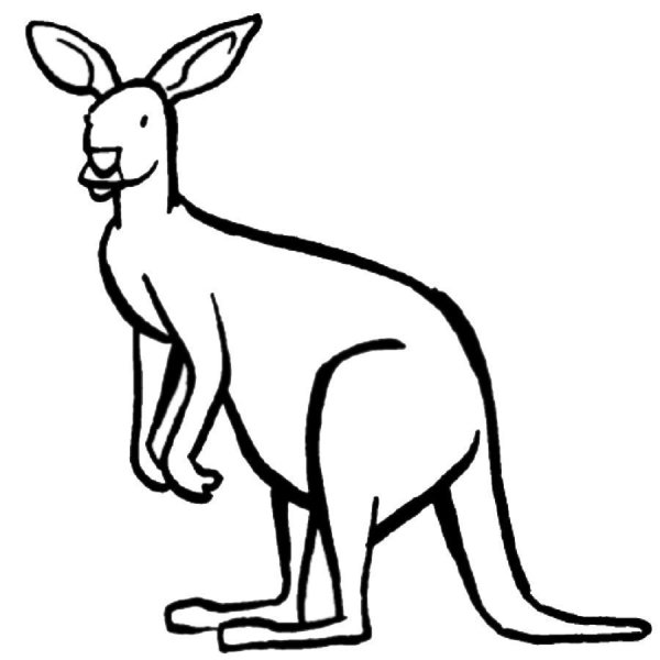 Kangaroo для детей черно белая