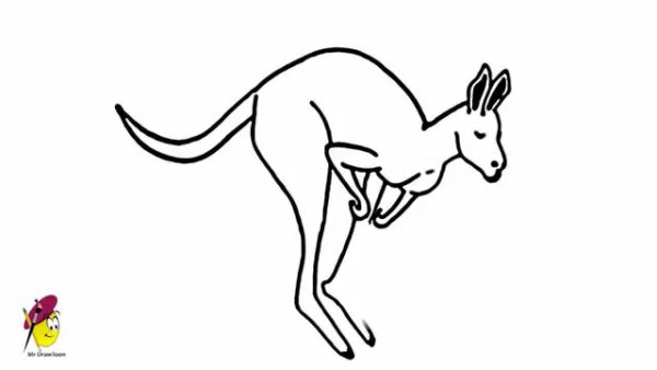 Кенгуру раскраска