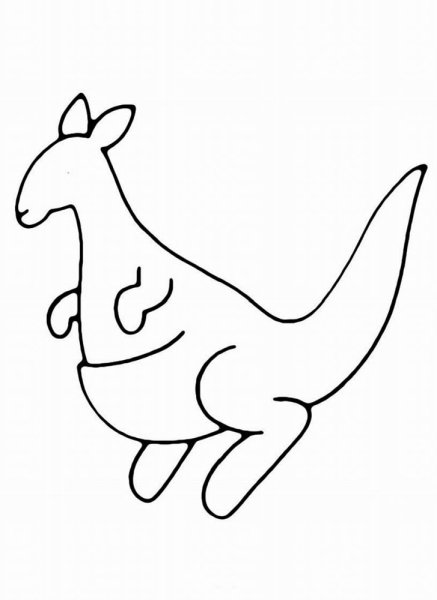 Кенгуру раскраска для детей