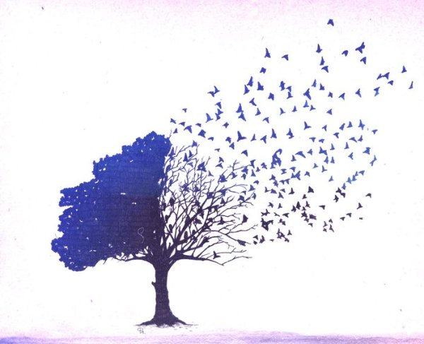 Рисунки со смыслом