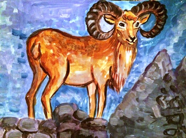 Алтайский горный баран цветной