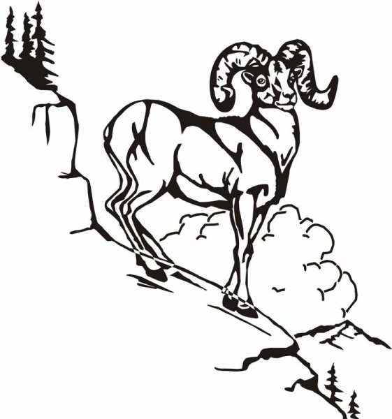 Рисунок дикого барана в горах