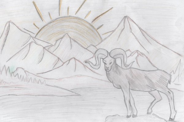 Иллюстрация к стихотворению Хетагурова Джук тур