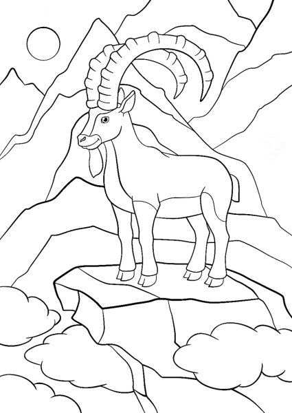 Горный козел раскраска