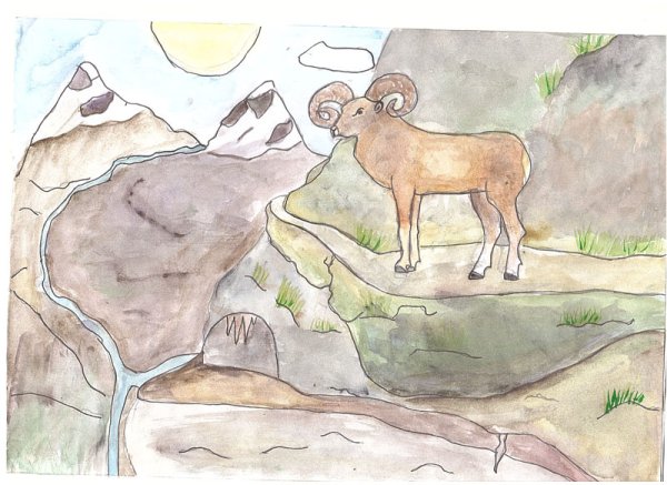 Баран в горах рисунок