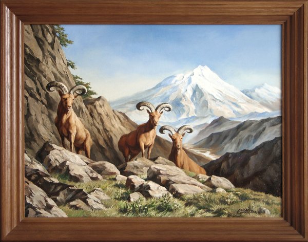 Пейзаж с горными козлами