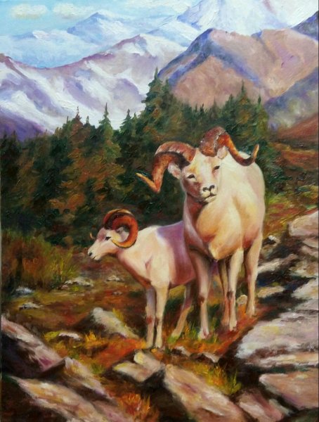 Горный баран картина