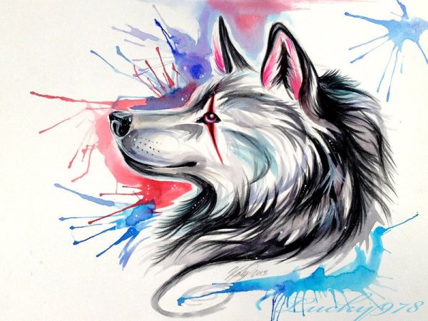 Волк фломастером