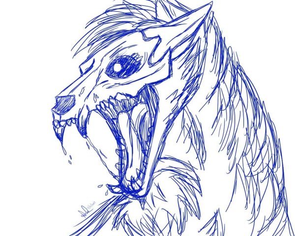 Морда волка трайбл