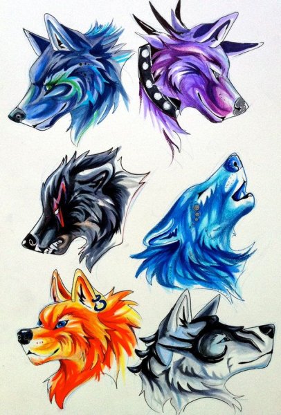 Голова волка на черном фоне