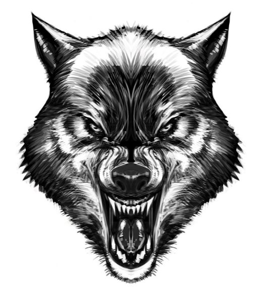 Вулф Вулф Вулф тату