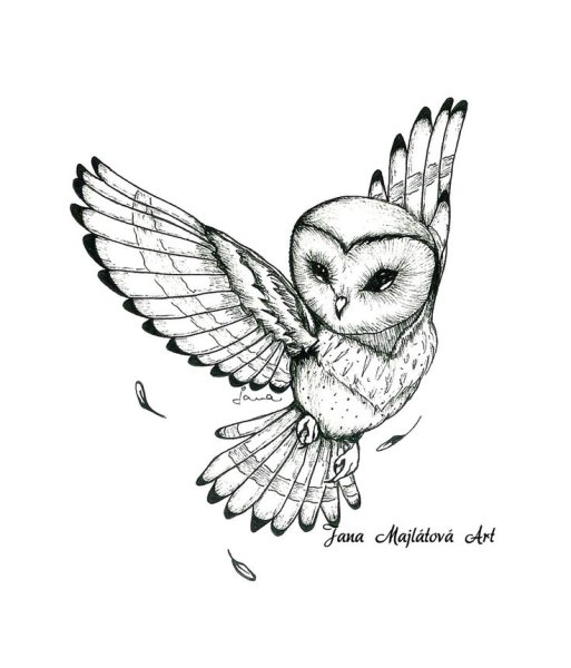 Тату Сова эскиз для девушек