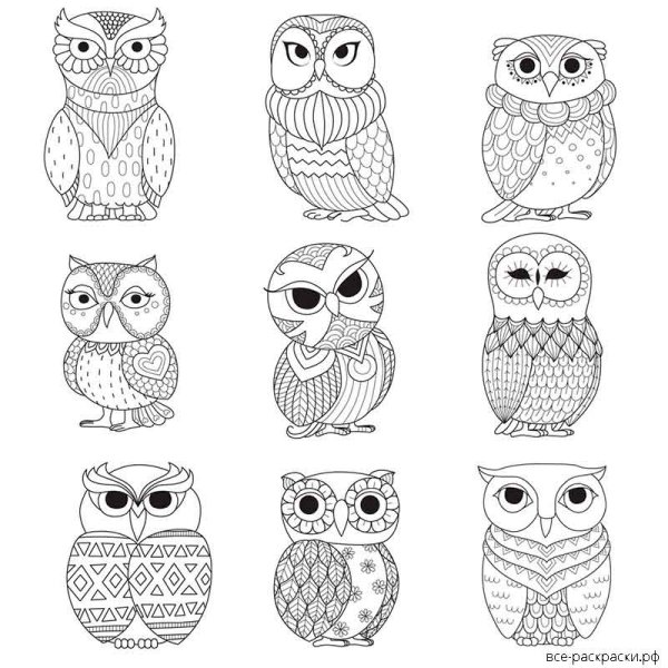 Разукрашивать милых сов для наклеек