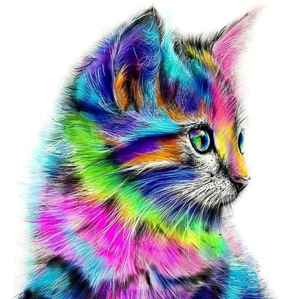 Кот картина