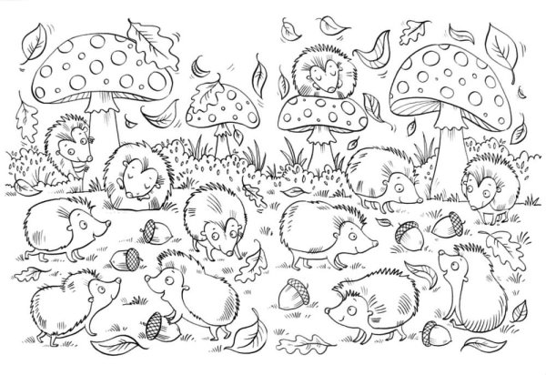 Зверюшки для рисования