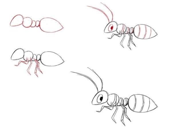 Грустный муравей