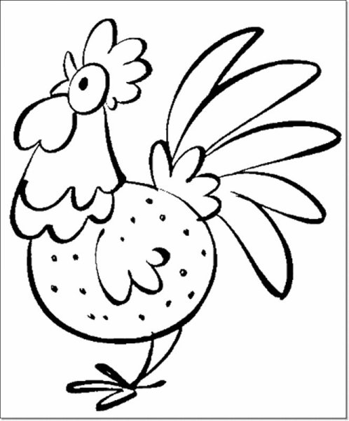 Петух рисунок