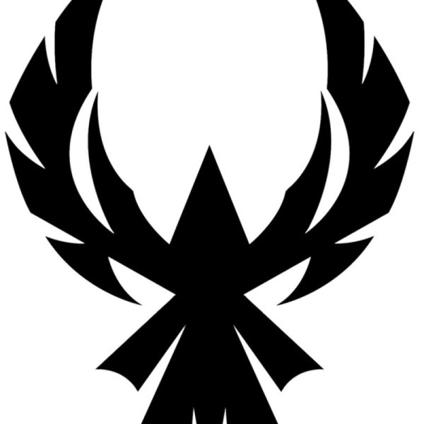 T-Shirt Roblox с драконом