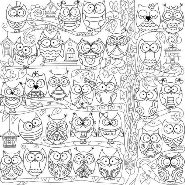 Раскраска антистресс Сова