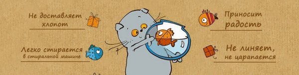 Паспорт кота Басика