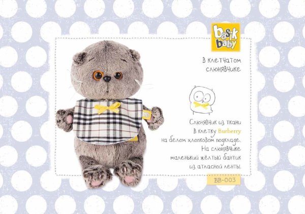 Басик Беби паспорт