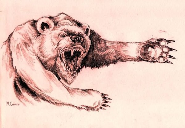 Рычащий медведь тату