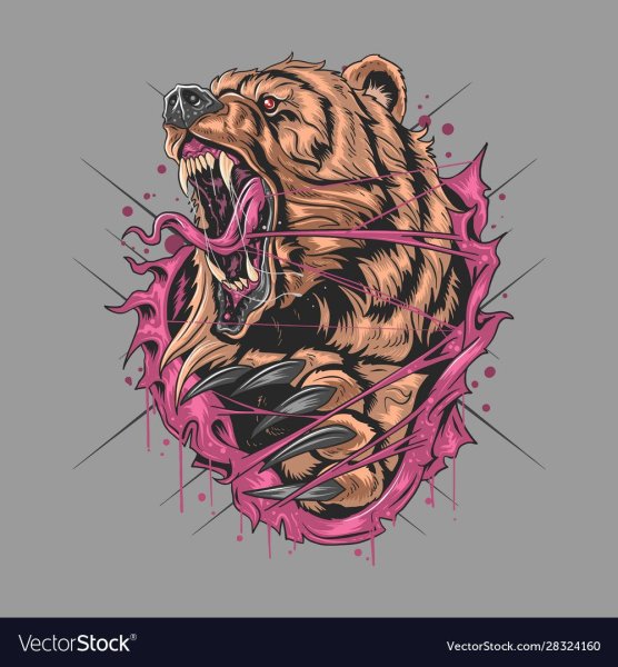 Медведь эскиз цветной