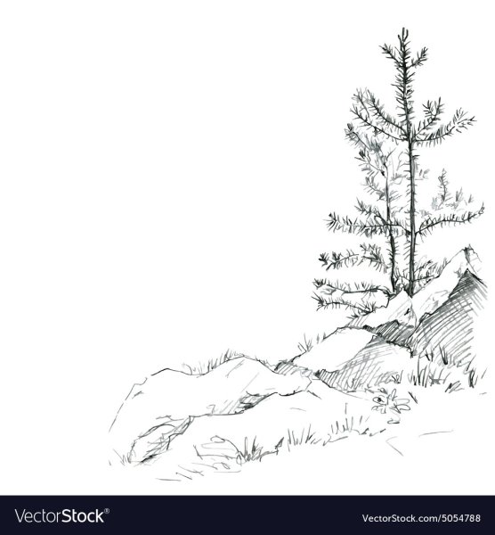 Лес карандашом схематично