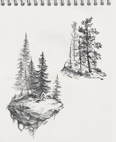 Лес эскиз карандашом