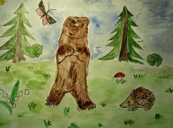 Тайга рисунок