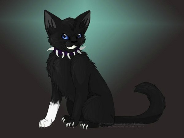 Коты Воители Бич с крыльями чёрные