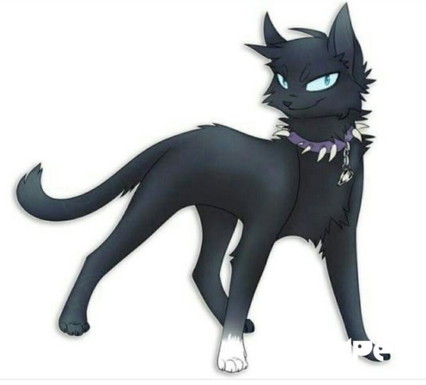 Коты Воители Бич Чиби