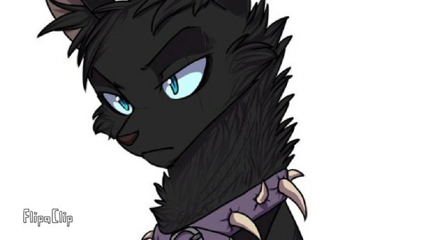 Коты Воители айва