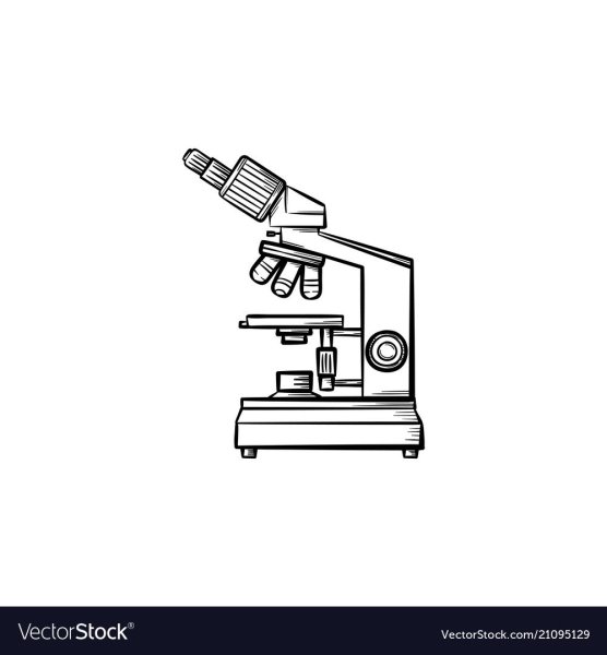 Микроскоп рисунок карандашом для 5 класса