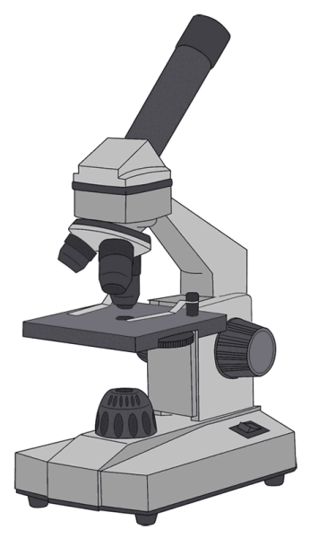 Микроскоп рисунок