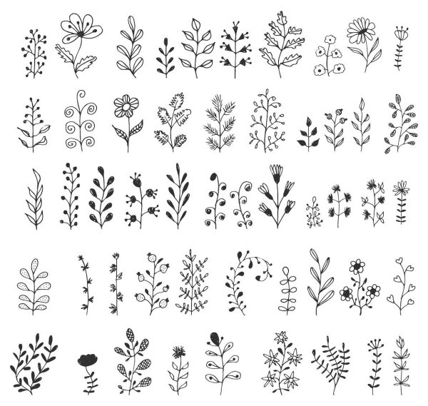 Растительный узор