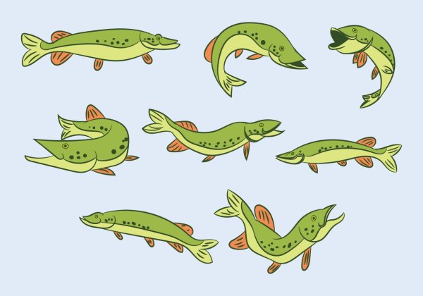 Щука рисунок для детей