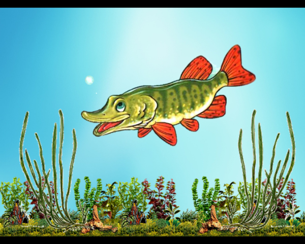 Щука Сказочная