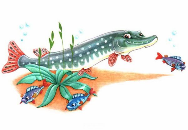 Щука на белом фоне для детей