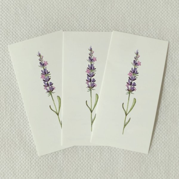 Маленькая веточка лаванды