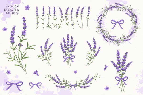 Лаванда орнамент