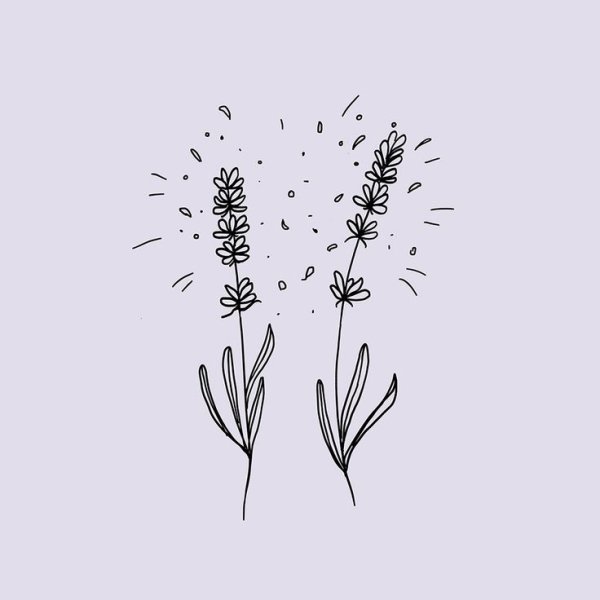 Лаванда стилизация