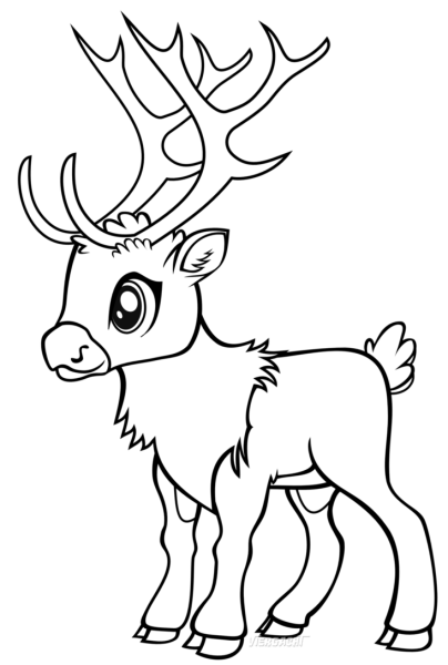 Олень раскраска для детей