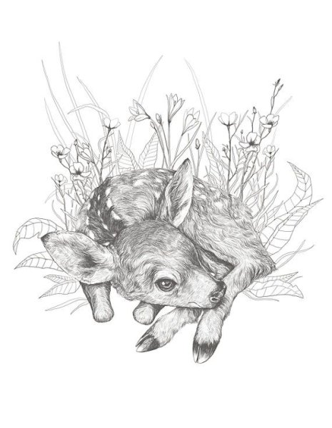 Олененок для детей