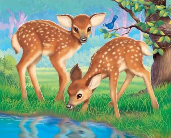 Олененок рисунок