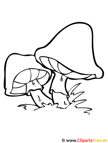 Осенние грибы раскраска для детей