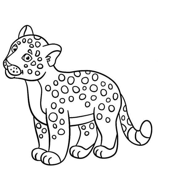 Леопард раскраска для детей