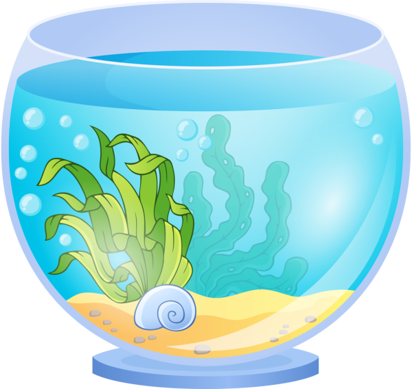 Тема недели волшебница вода