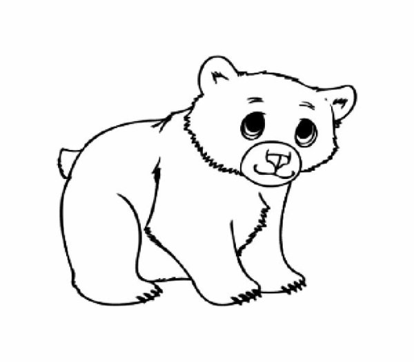 Маленький медведь раскраска