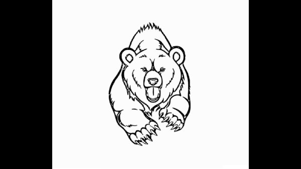 Медведь раскраска